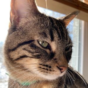 Meet your Posher, Heidi